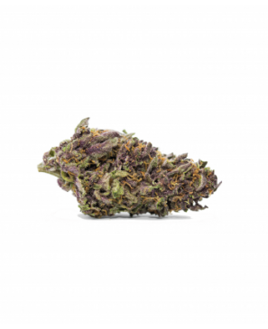 CANAPA LIGHT PURPLE 5 gr.